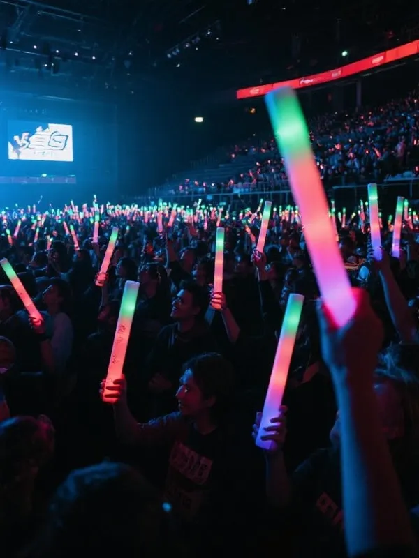 狂热的电竞现场观众